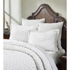 Heirloom 100% Cotton Ultra-Soft Chenille Tufted Lightweight Medallion Design Pillow Sham, All-Season, Machine Washable - 2 of 4