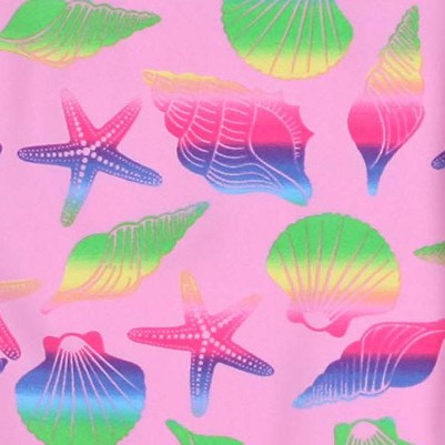 fuchsia - rainbow seashells