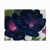 Trademark Fine Art - Georgia O'Keefe Black and Purple Petunias Matted Framed Art - 3 of 4