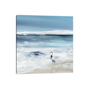 Tidal Fishing II by Carol Robinson Unframed Wall Canvas - iCanvas - 1 of 4