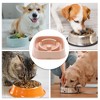 Unique Bargains Lightweight Non-Skid Water Dog Bowl 1 Pc - 4 of 4