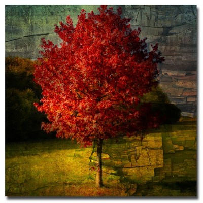 Trademark Fine Art -Philippe Sainte Laudy 'Autumn Red' Canvas Art