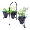 Small Herb Caddy Iron Plant Stand Black - ACHLA Designs: Freestanding Cone-Shaped Holder for Indoor & Outdoor Use - 4 of 4