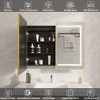 Lighted Medicine Cabinet with Mirror Wall Mounted Bathroom Mirror with Storage - 2 of 4