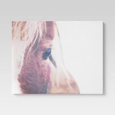 24" x 30" Horse Closeup Canvas Brown - Threshold™