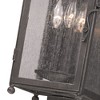 Troy Lighting Larchmont 3 - Light Wall Light in  Aged Pewter Clear Seeded Shade - 3 of 4