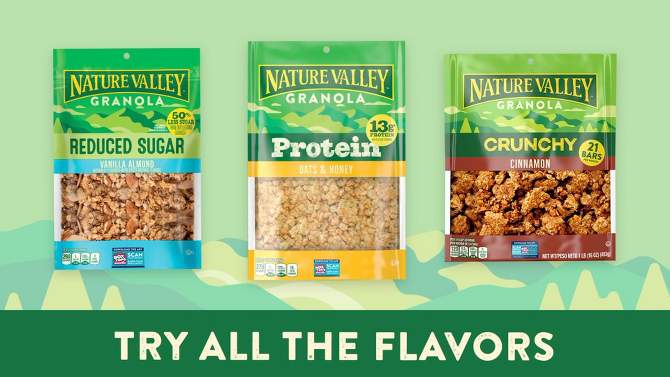 Nature Valley Protein Granola Oats &#38; Honey Family Size Cereal - 17oz, 2 of 12, play video