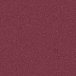 florida state seminoles
