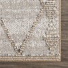 Hauteloom Nyla Bone & Tan Textured Performance Rug - 3 of 4