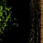 gray column khaki curtain