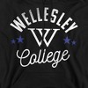 Wellesley College Official Blue Adult Pull-Over Hoodie - 2 of 4