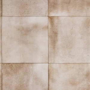 Tempaper & Co. The Collector's Study Peel and Stick Wallpaper by Jeremiah Brent - 1 of 4