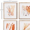 Plum & Post Coral Reef Study Set of 4 - 2 of 3