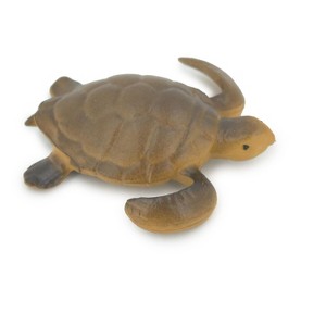 Collectible Wildlife Gifts | Turtle, Sea Turtle Baby, High Quality, Hand Painted, Rubber Reptile, Realistic Model,  Toy, Gift,   2"  CH535 BB159 - 1 of 4