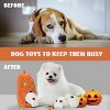 Nocciola 4 Packs Burroween Dog Toys for Halloween,Christmas gift,Spooky Pumpkin Burrow with 3 Squeaky Skulls,Hide and Seek Dog Toys - 4 of 4