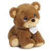 Aurora Medium Charlie Bear Precious Moments Inspirational Stuffed Animal Brown 10" - 2 of 4