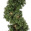 National Tree Company 44" Pre-Lit Boxwood Spiral Topiary: LED, Battery-Operated, Indoor/Outdoor - 3 of 4