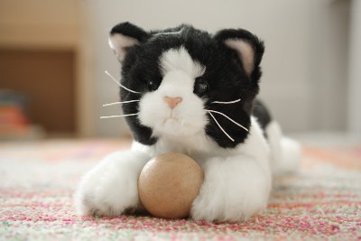 Black and deals white stuffed cat