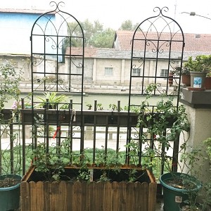 Gulches 2 Pack Metal Garden Trellis 71" x 19.7" Rustproof Trellis for Climbing Plants Outdoor Flower Support Black - 1 of 4