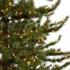 Nearly Natural 9-ft Vancouver Mountain Pine Artificial Christmas Tree with 750 Clear Lights and 2583 Bendable Branches - 4 of 4