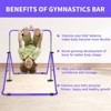 Gulches Purple Multi-Functional Adjustable Height Children's Horizontal Gymnastic Bar With Bear Rings - 4 of 4