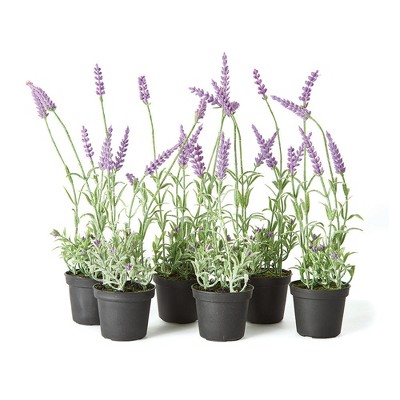 Plum & Post French Lavender Drop-In 13", Set Of 6