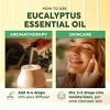 KUKKA Eucalyptus Essential Oil - 100% Pure & Natural Eucalyptus Oil for Diffuser, Humidifier, Skin, Hair (4 Fl Oz/118 ml) - 4 of 4