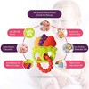 Baby Teething Toys for Newborns 0-6 Months - 2 of 4
