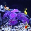 Unique Bargains Silicone Aquarium Simulation Coral Ornaments 2.36"x3.15" 1 Pc - 2 of 4