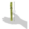 Casual Canine ⅝" Wide Nylon Dog Collar, Fits Necks 14" to 20", Parrot Green - 3 of 3