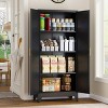 Generic Metal Storage Cabinet With 2 Doors and 3 Adjustable Shelves - 3 of 4