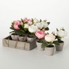 Sullivans Artificial 6" Potted Rose Crate of 12 - 4 of 4