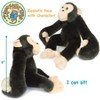 Chance The Chimpanzee - 15 Inch Stuffed Animal Plush - By Viahart - 4 of 4