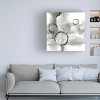Trademark Fine Art -Chris Paschke 'Full Circle I Gray' Canvas Art - 2 of 4