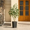 DR.Planzen 72" Artificial Ficus Tree - 6FT UV Resistant Fake Plant with Silk Leaves & 15.7" Planter for Indoor House Plants, Floor & Tall Faux Trees - 4 of 4