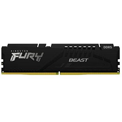 Kingston FURY Beast DDR5 16GB Computer Memory Module KF552C40BB16