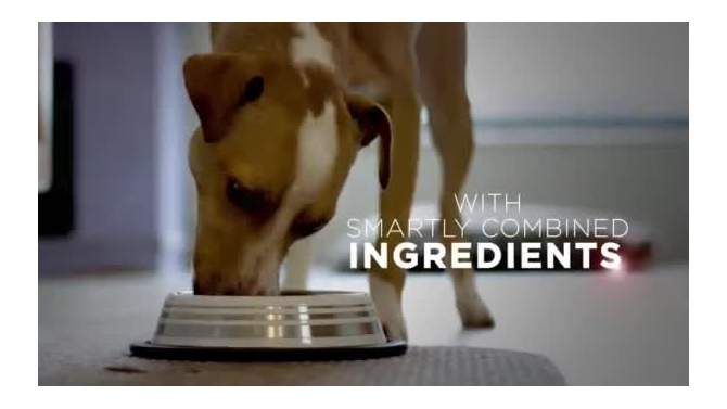 Purina ONE SmartBlend High Protein Healthy Weight Turkey Flavor Adult Dry Dog Food, 2 of 10, play video