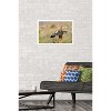Trends International The Comedy Wildlife Photography Awards: Wendy Kaveney - That Wasn't Here Yesterday Framed Wall Poster Prints - 2 of 4