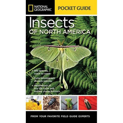 National Geographic Pocket Guide to Insects of North America - by  Arthur V Evans (Paperback)