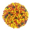 Mystic Sprinkles Graduation Day! Red & Yellow Sprinkle Mix 3.8oz - 4 of 4