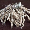 Van Zyverden 3ct Roots Hosta Sieboldiana Elegans - 2 of 4