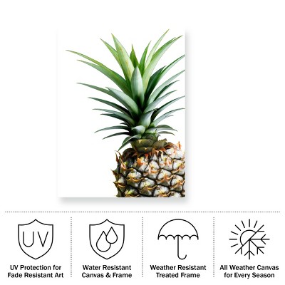 Lexie Greer Pineapple Portrait Outdoor Canvas Print 14x19