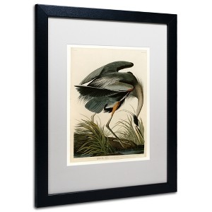 Trademark Fine Art -John James Audubon 'Great Blue Heron' Canvas Art - 1 of 4