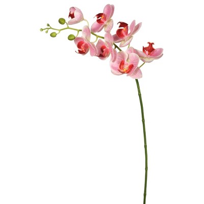 Artificial Real Touch Orchid-7 Heads Pink - Vickerman