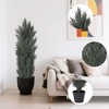 Kumasinova 2-Piece Lifelike Green Artificial Pine Cypress Tree, Fake Plants with Dense Foliage, Weighted Pot, Faux Plant for Indoor and Outdoor - 3 of 4