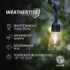 Brightech 15-Bulb LED Ambience Pro Hanging Solar 1W 48ft 2700K S14 Outdoor String Lights Clear Bulb Black Wire - 3 of 4