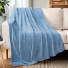 PAVILIA Plush Knit Throw Blanket for Couch Sofa Bed, Super Soft Fluffy Fuzzy Lightweight Warm Cozy All Season - 3 of 4