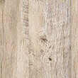 white oak