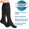 Heelbo - Comp Stockings 15-20mmHg-Black-S - 2 of 4