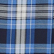 clear blue plaid